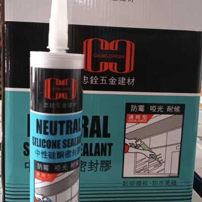 CH 矽利康silicone